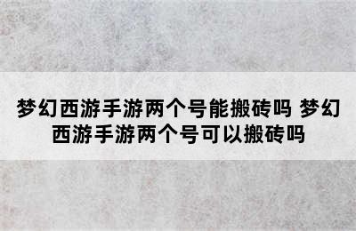 梦幻西游手游两个号能搬砖吗 梦幻西游手游两个号可以搬砖吗